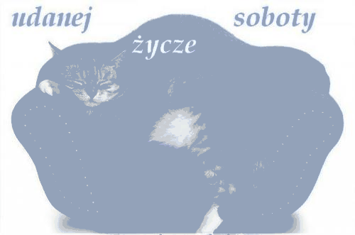 Kot śpi na niebieskiej sofie w sobotę